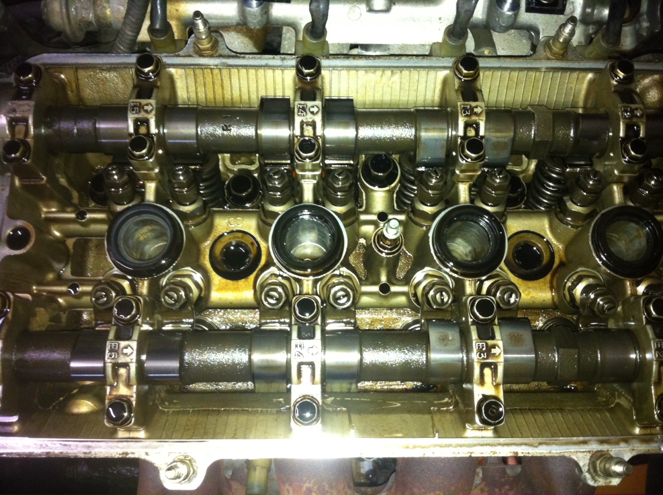 Foto 1.JPG