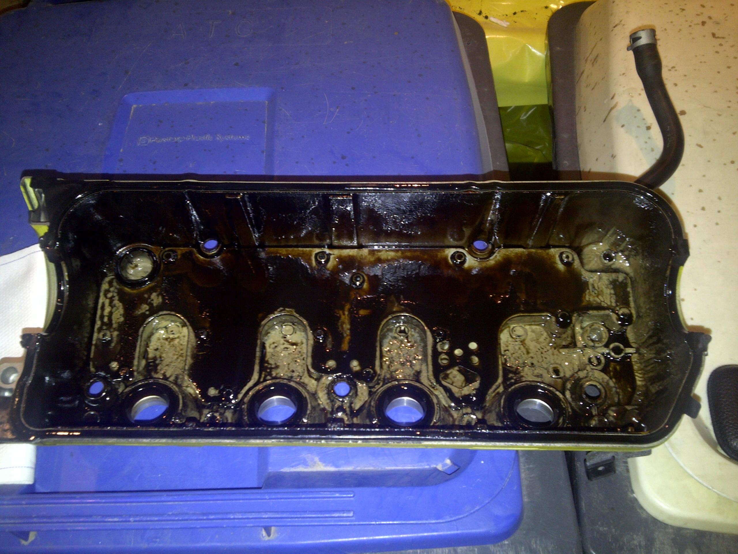 IMG-20120202-00165.jpg