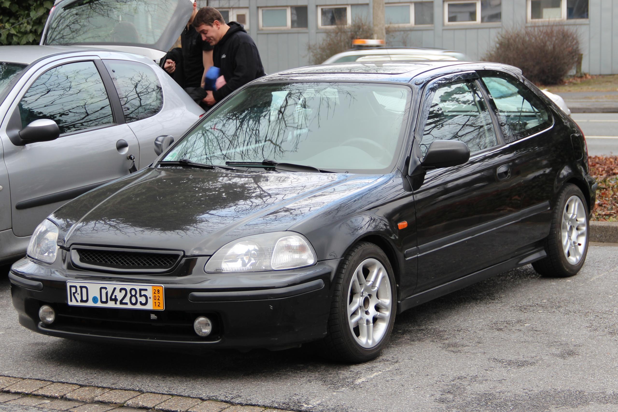 IMG_4153-1.JPG