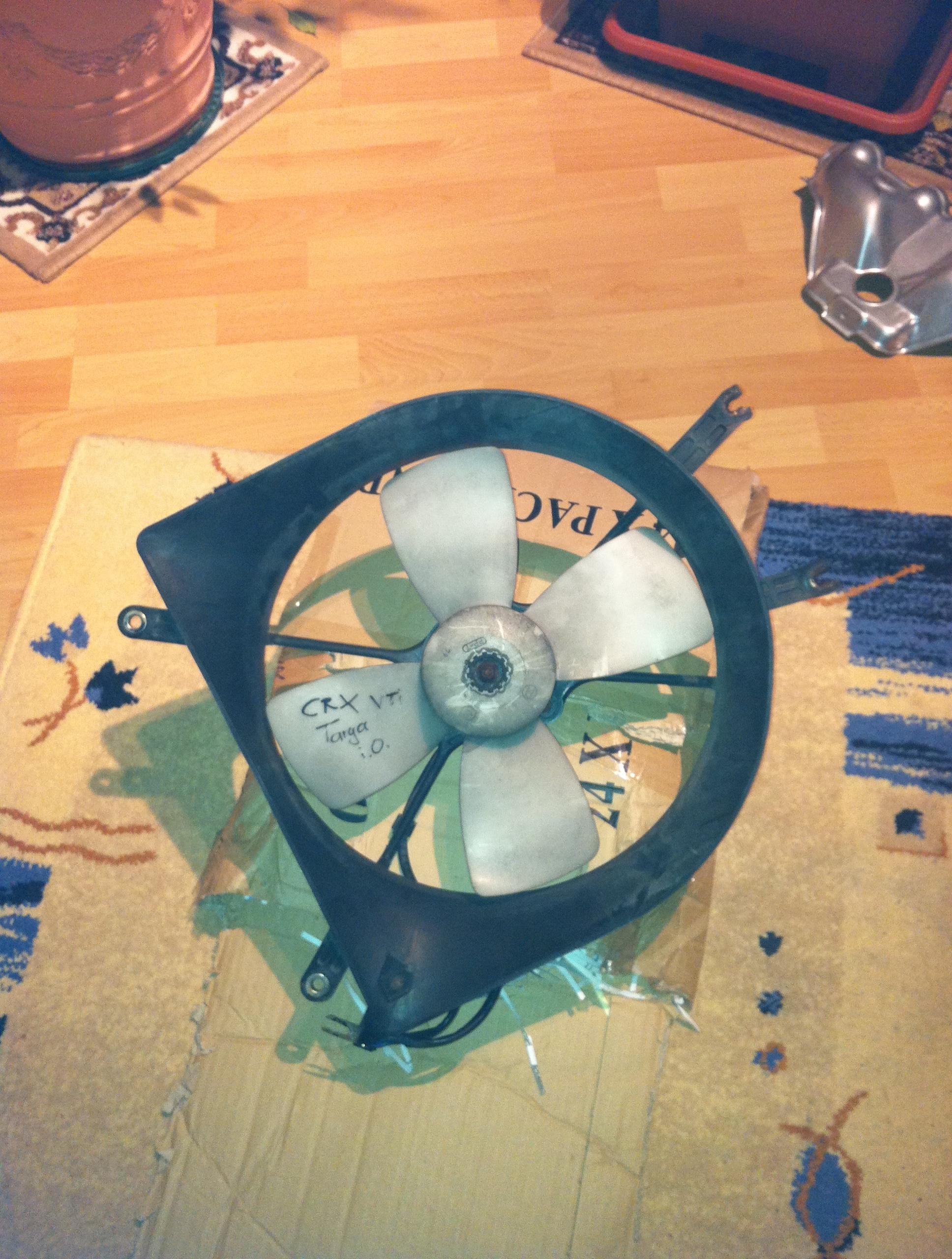 maxrev1 002.JPG