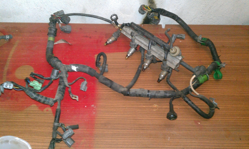 Motorkabelbaum D16 1.jpg