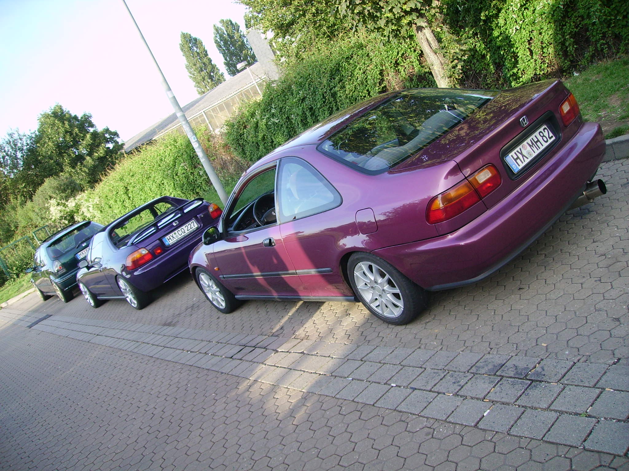 reis2.JPG