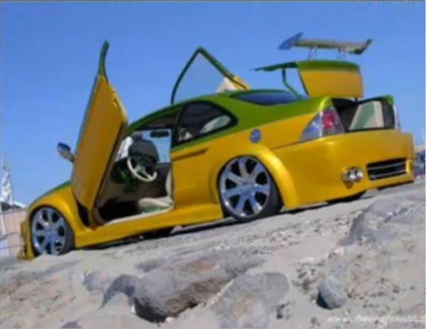 tg.JPG