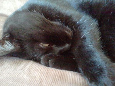 2012-02-03 13.00.23.jpg