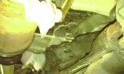 IMAG0081.jpg