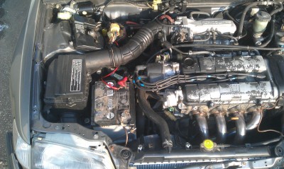 IMAG0455.jpg