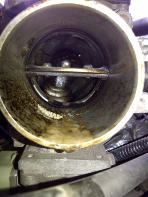 IMG-20120201-00162.jpg