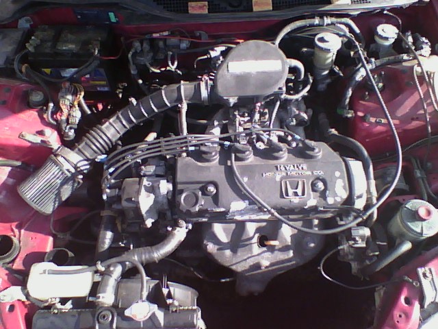 2012-03-02-144828.jpg