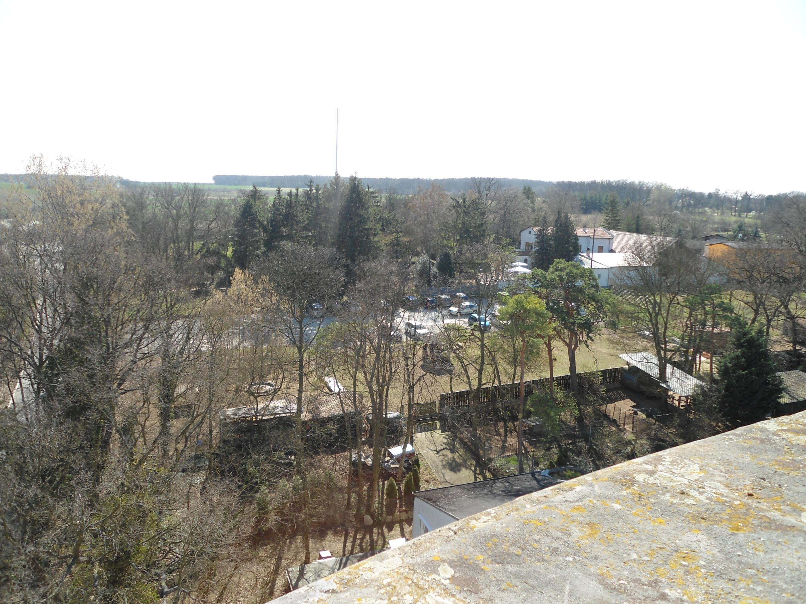 DSC00502.JPG