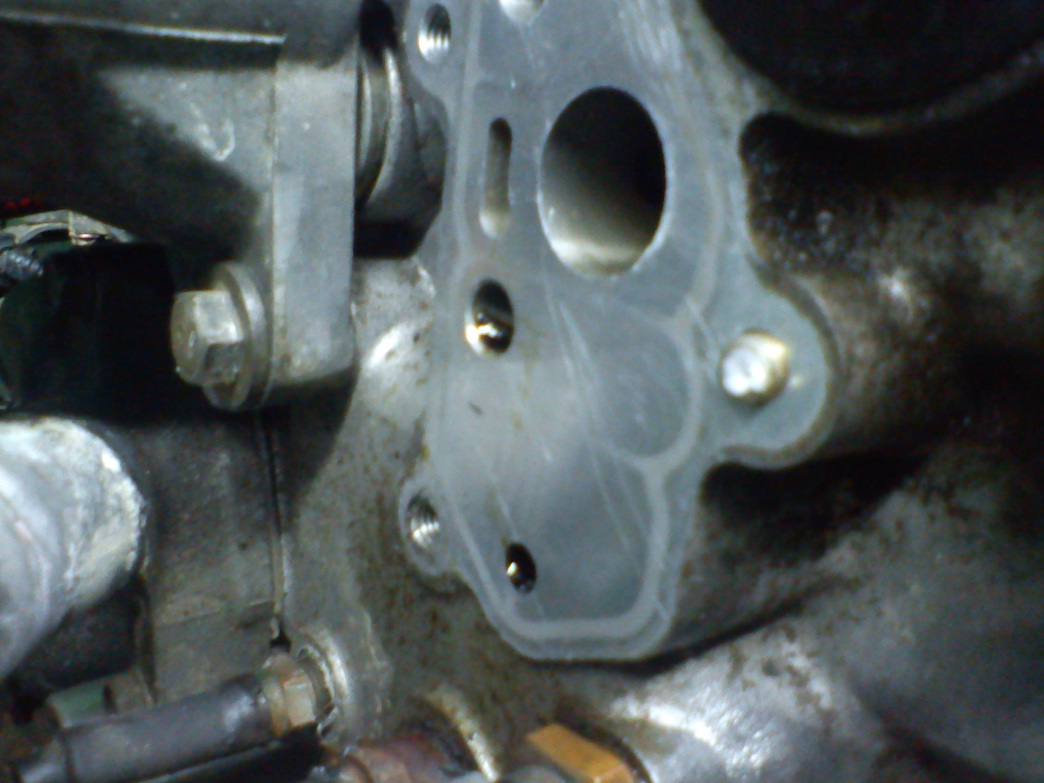 DSC09124.jpg