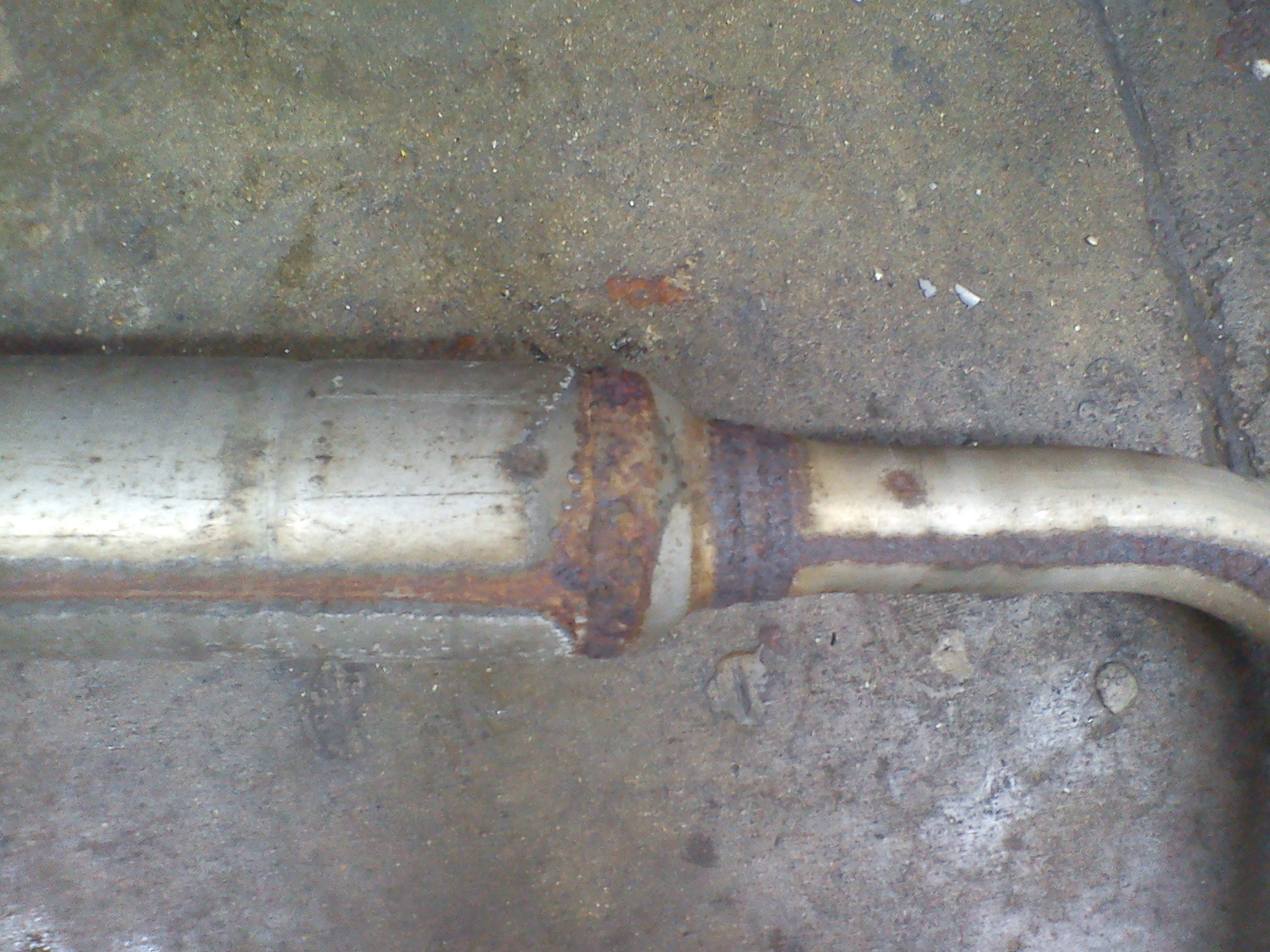 DSC09138.jpg