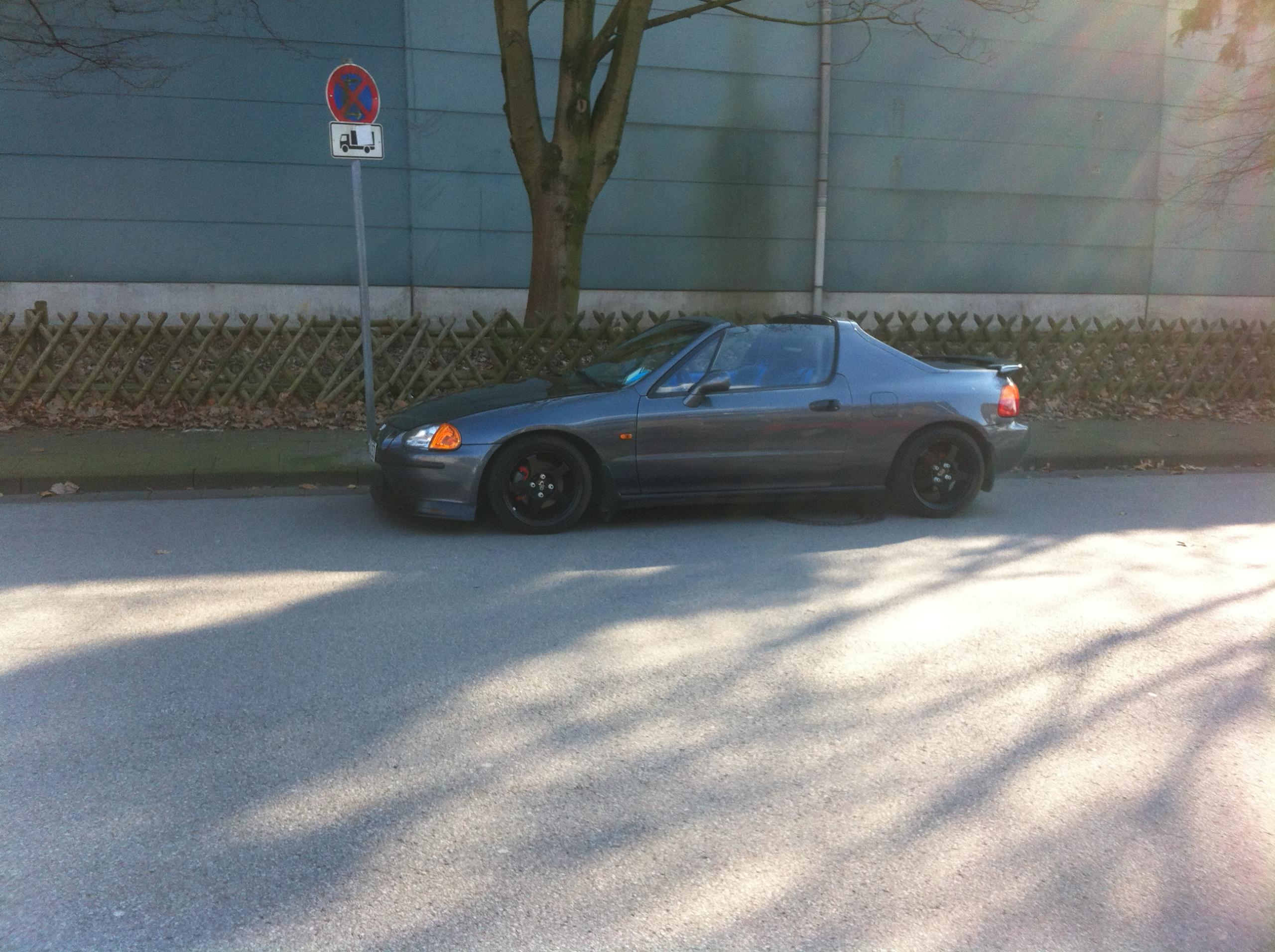 gut2.JPG