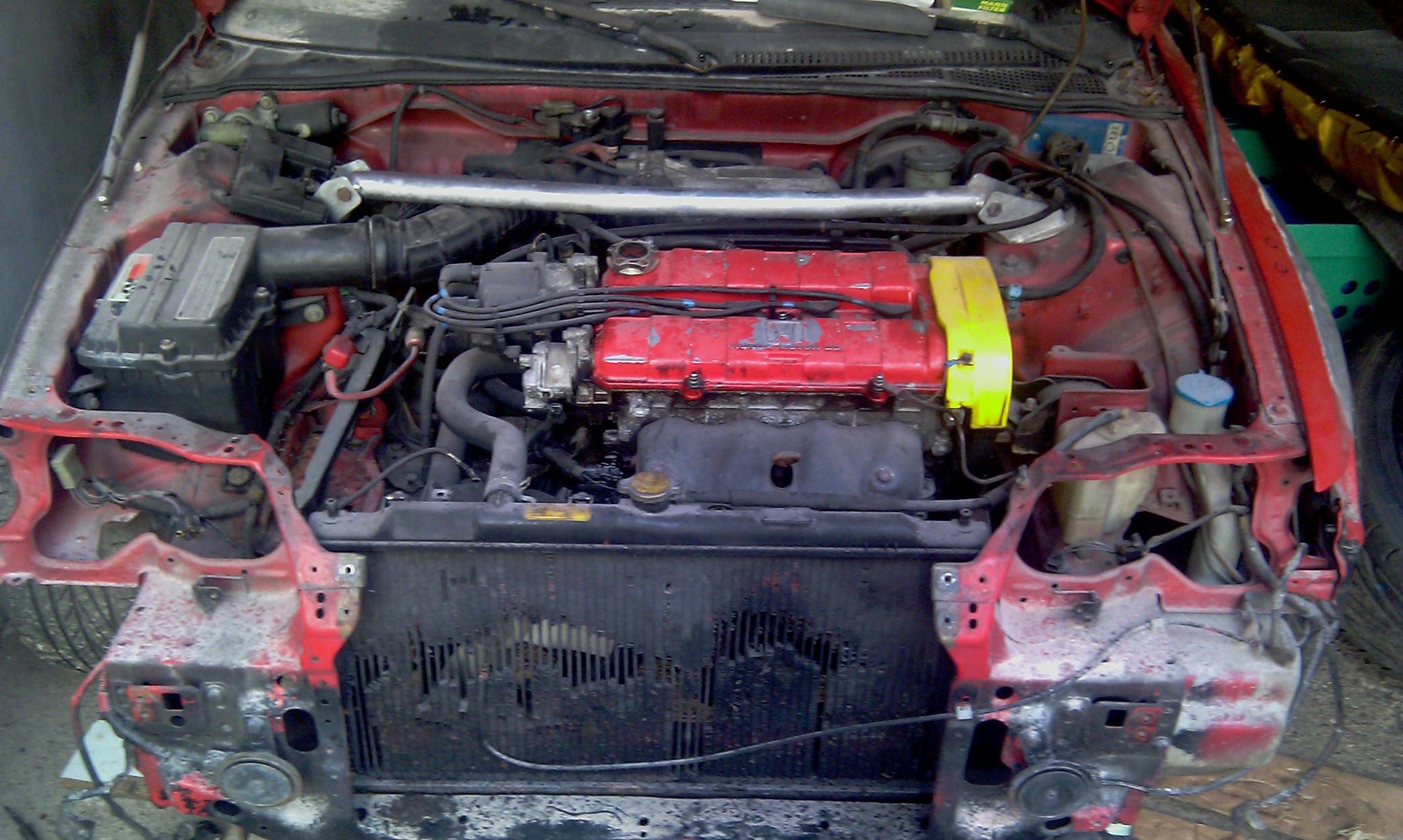 IMAG0104.jpg