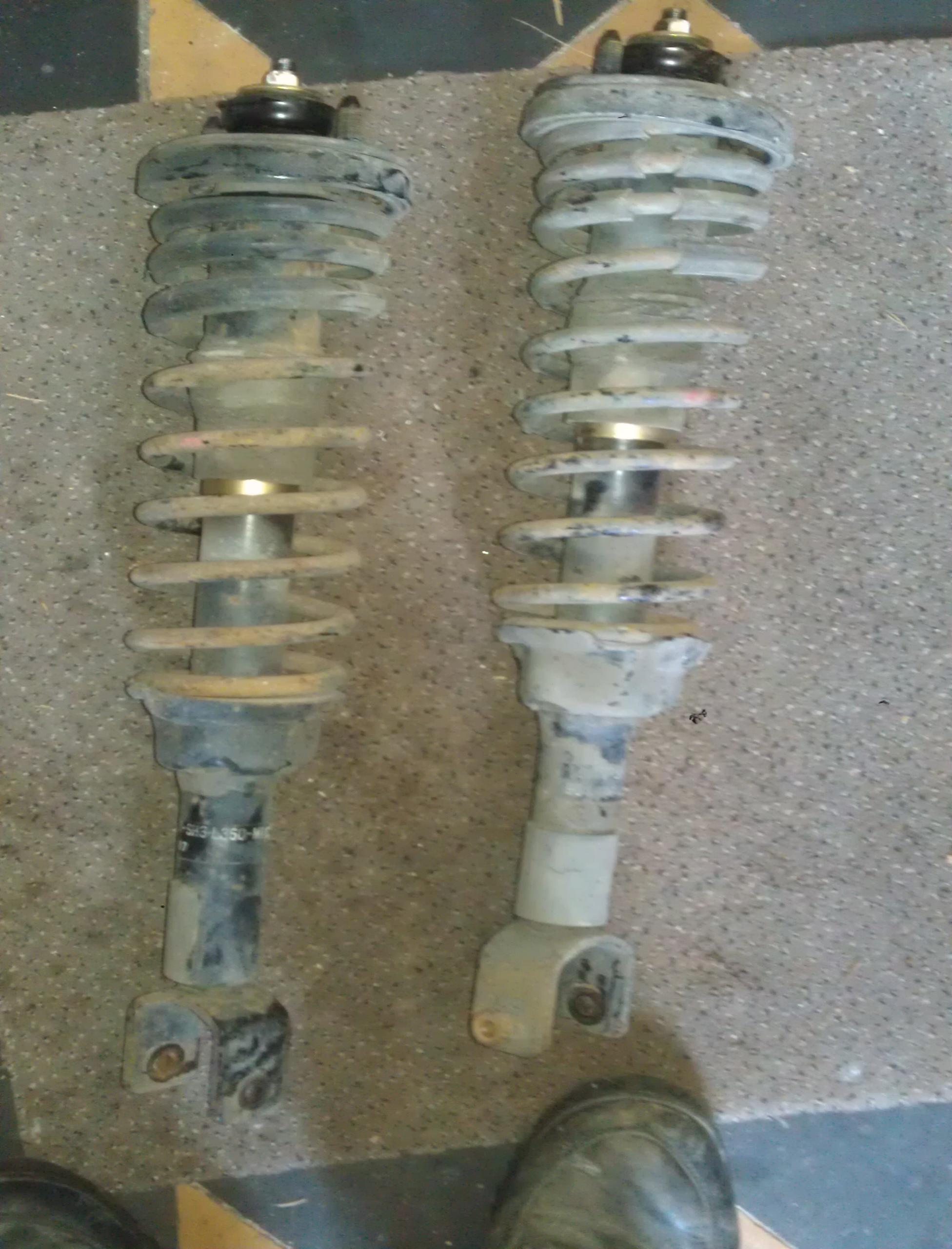 IMAG0586.jpg