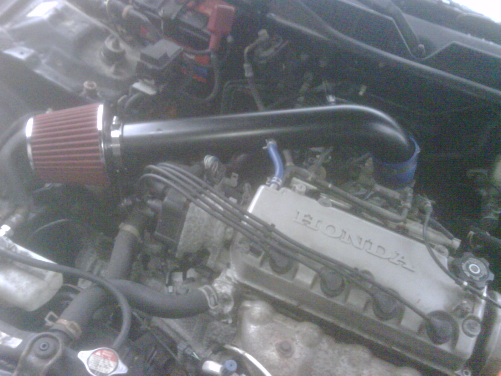 IMG00607.jpg
