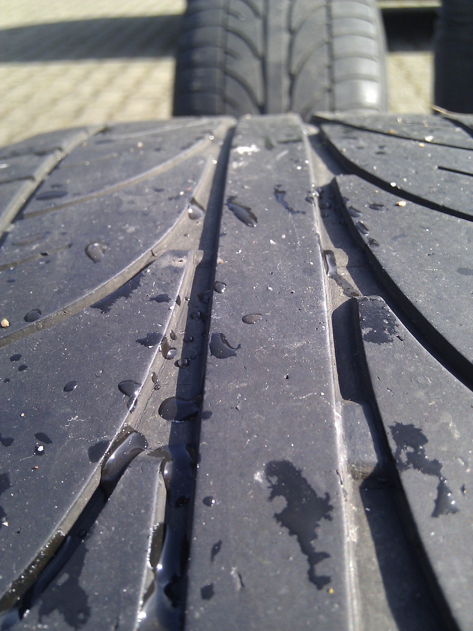 IMG_20120311_122007.jpg