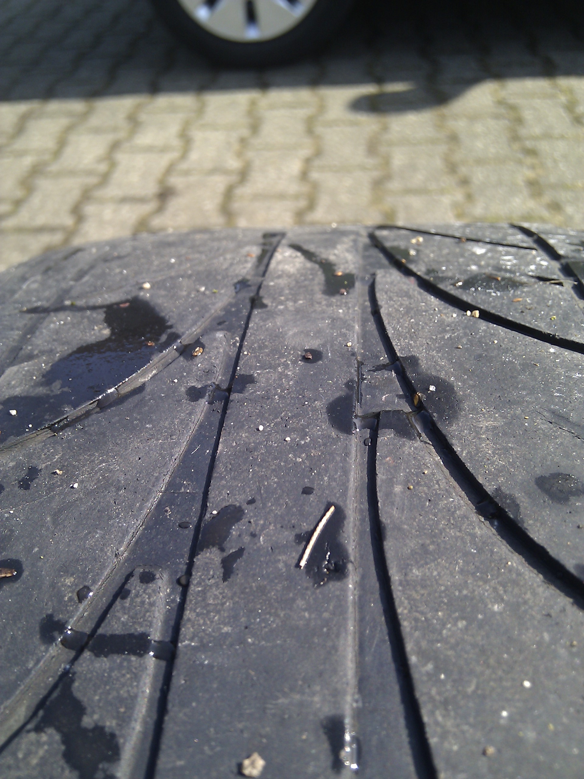 IMG_20120311_122024.jpg
