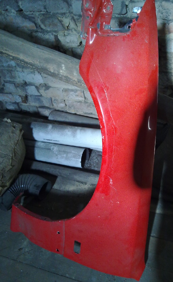 kotfluegeled6.jpg