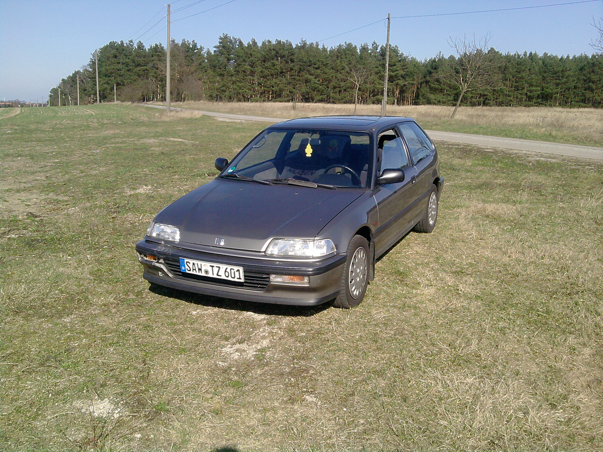 P250312_15.41_[01].jpg