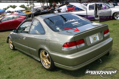 0181xm.jpg