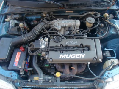 CIMG2584.JPG