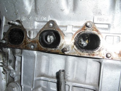 CIMG7072.JPG