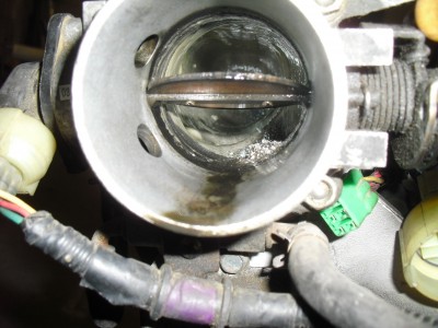 CIMG7086.JPG