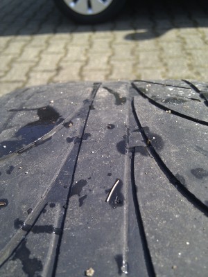 IMG_20120311_122024.jpg