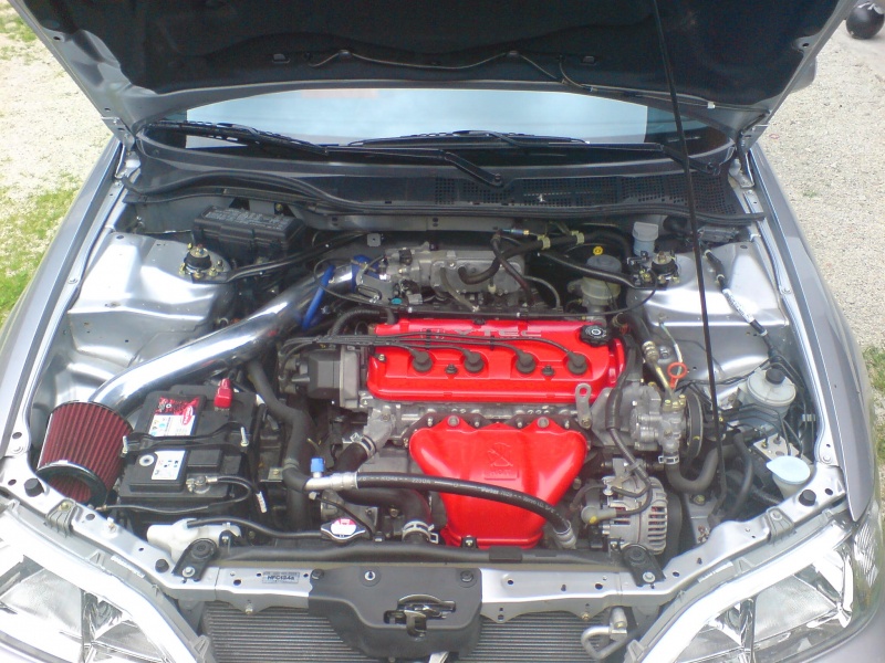 user3484_pic12149_1311022366.jpg