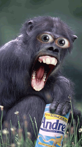 wow-affe.gif