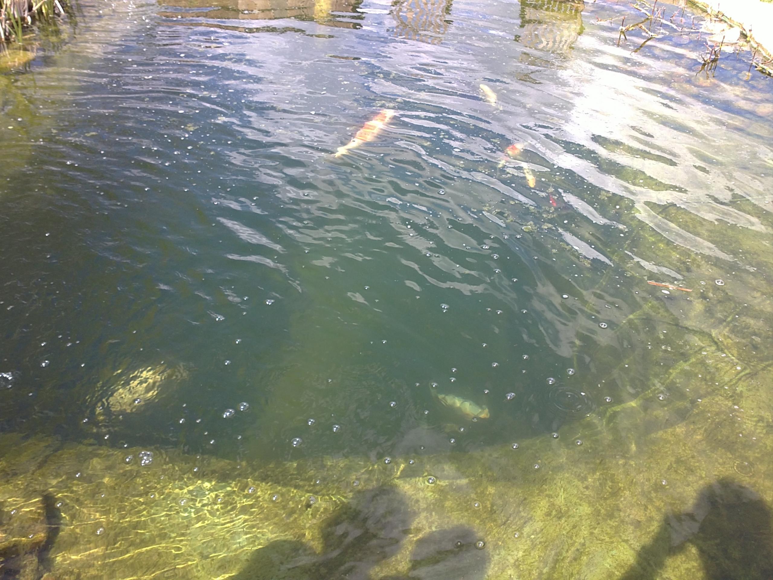 21042012362.JPG