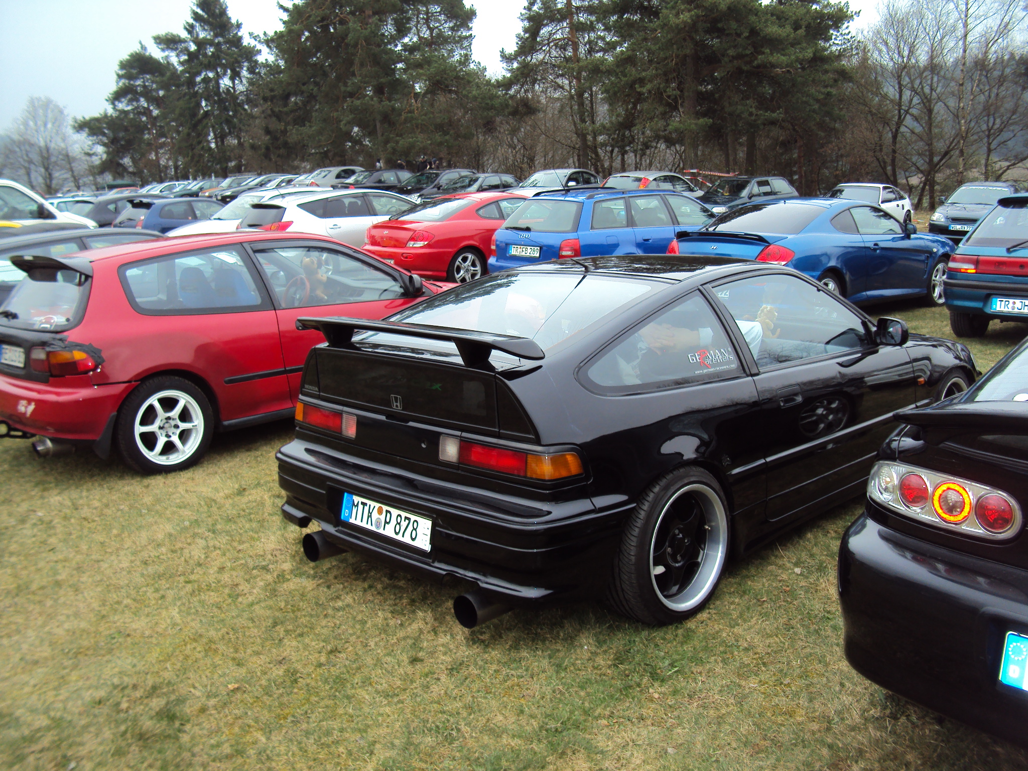 DSC08537.JPG