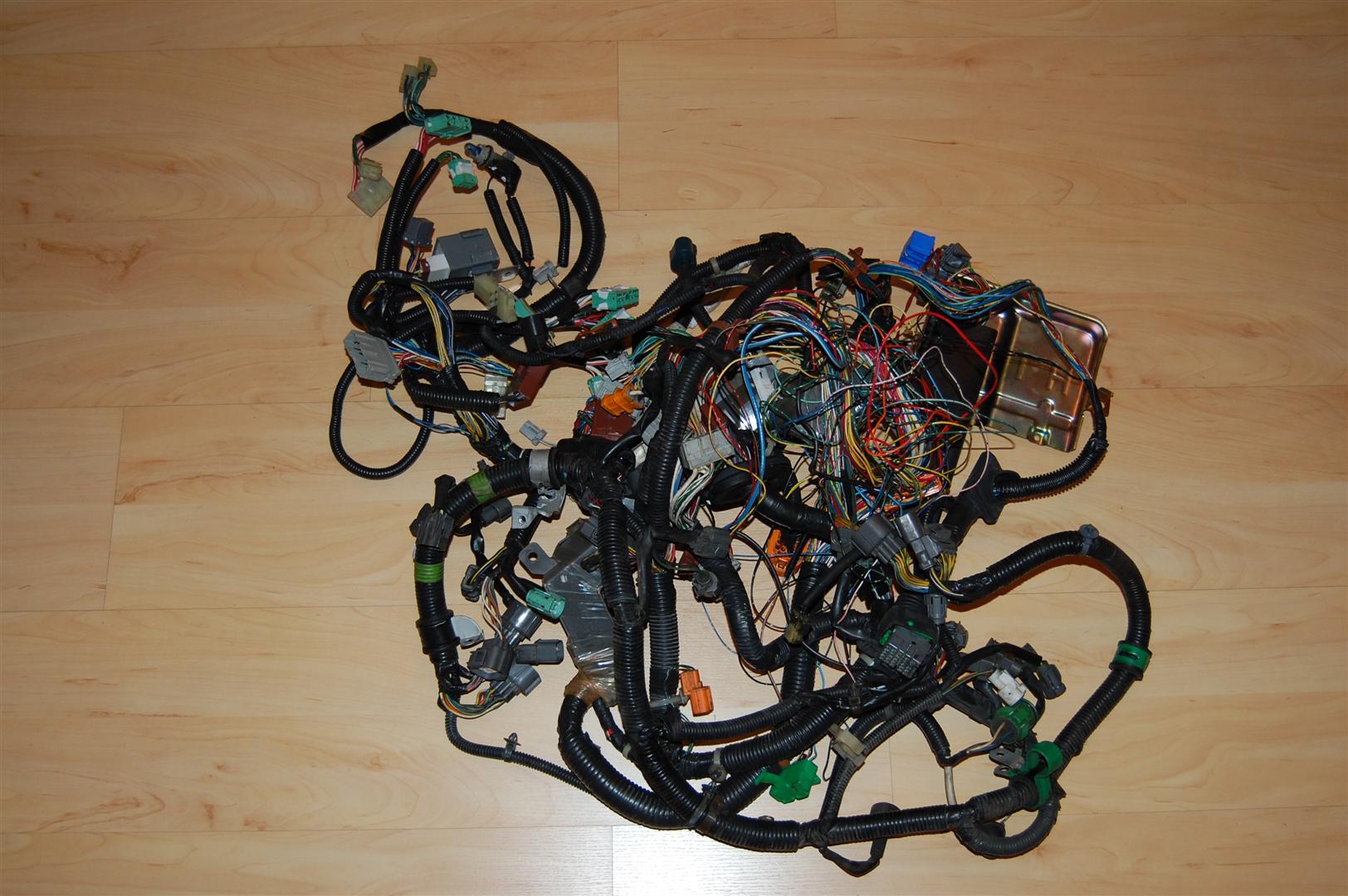 DSC_0605 (Groß).JPG