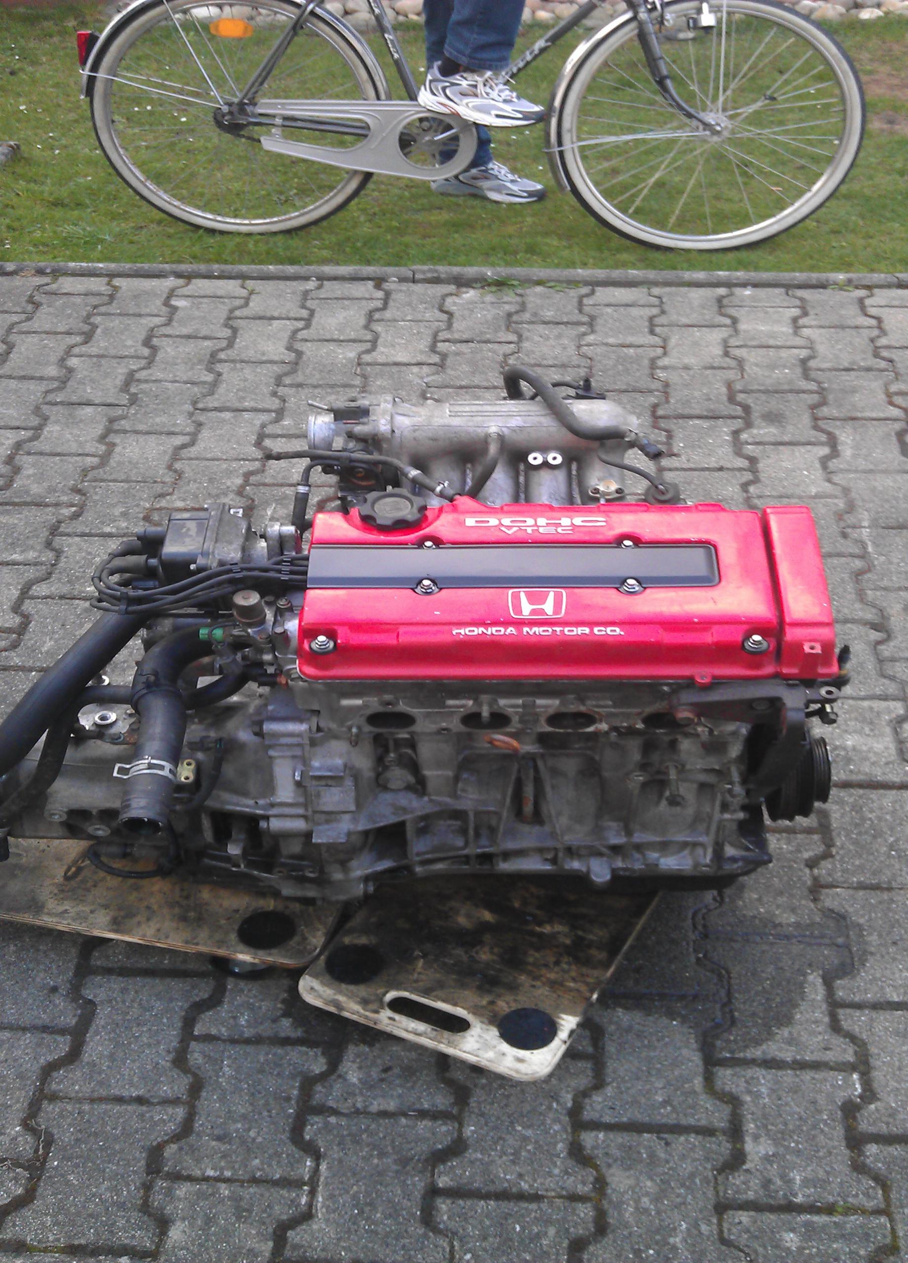 IMAG0124.jpg