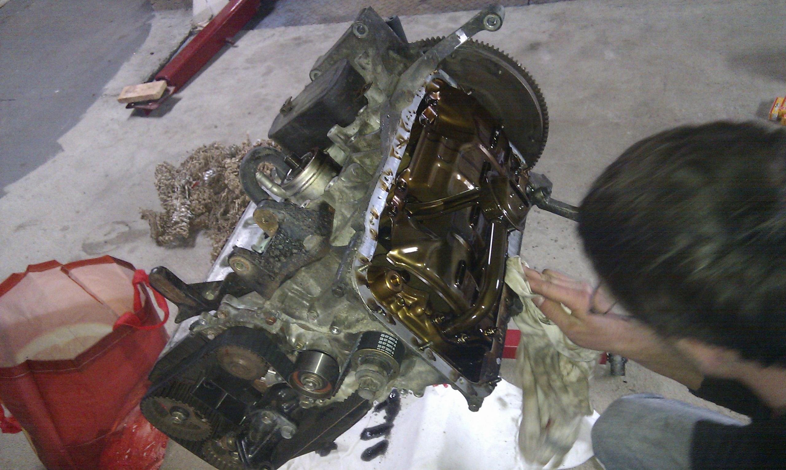 IMAG0293.jpg