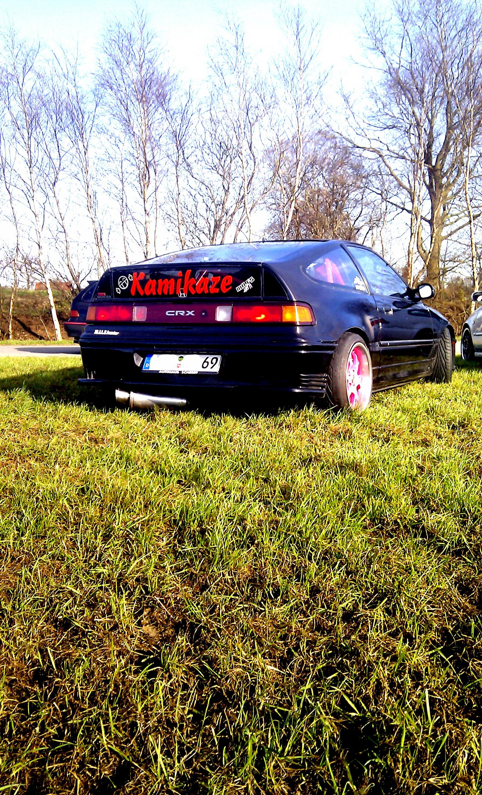 IMAG0400.jpg