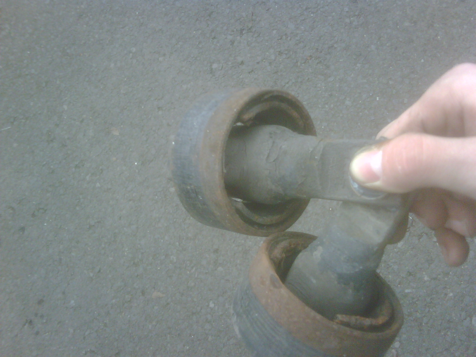 IMG00705.jpg