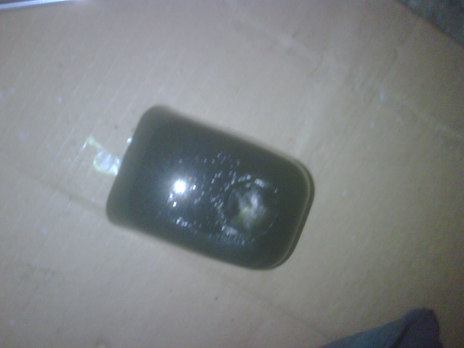 IMG00743.jpg