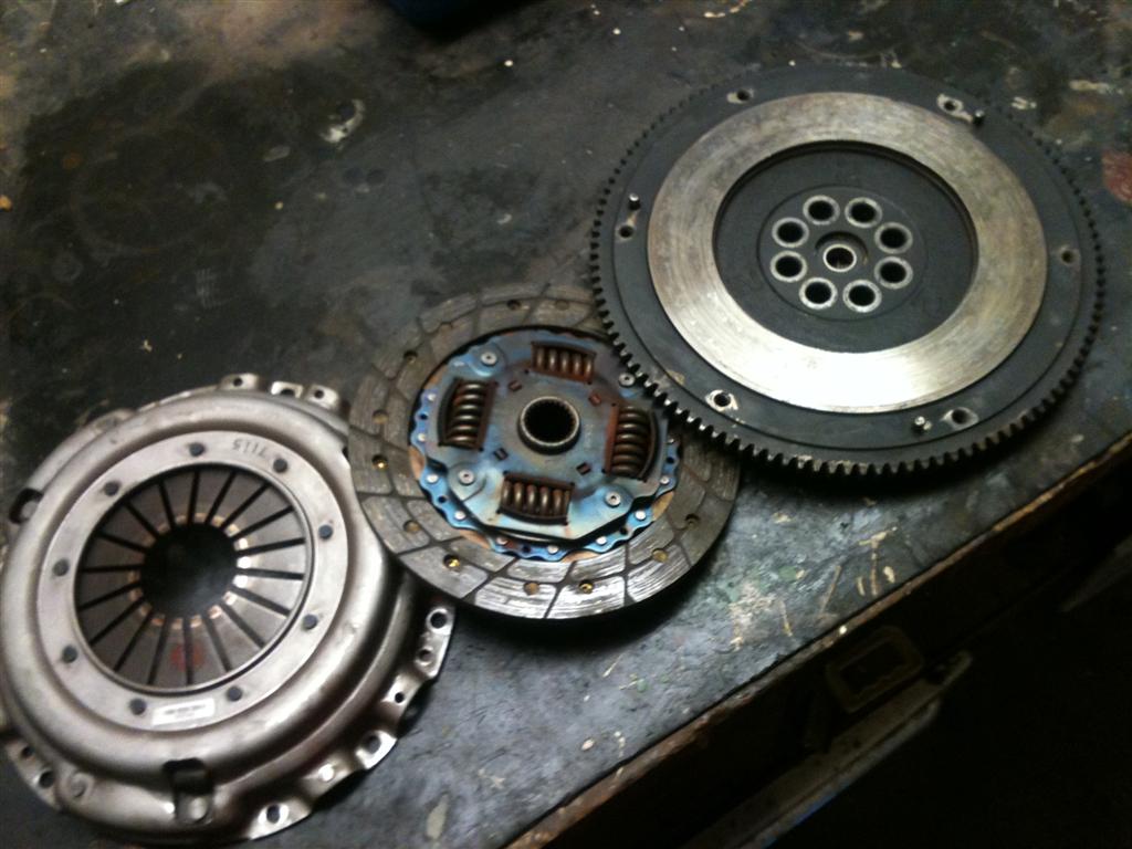 IMG_0459 (Large).jpg