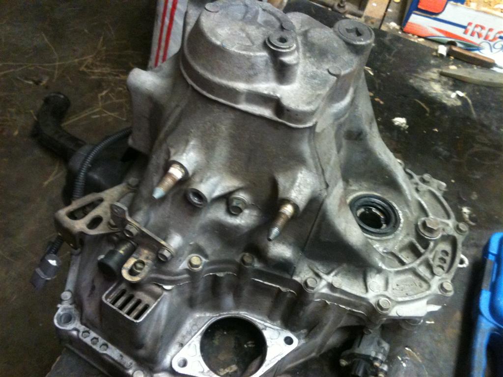 IMG_0460 (Large).jpg