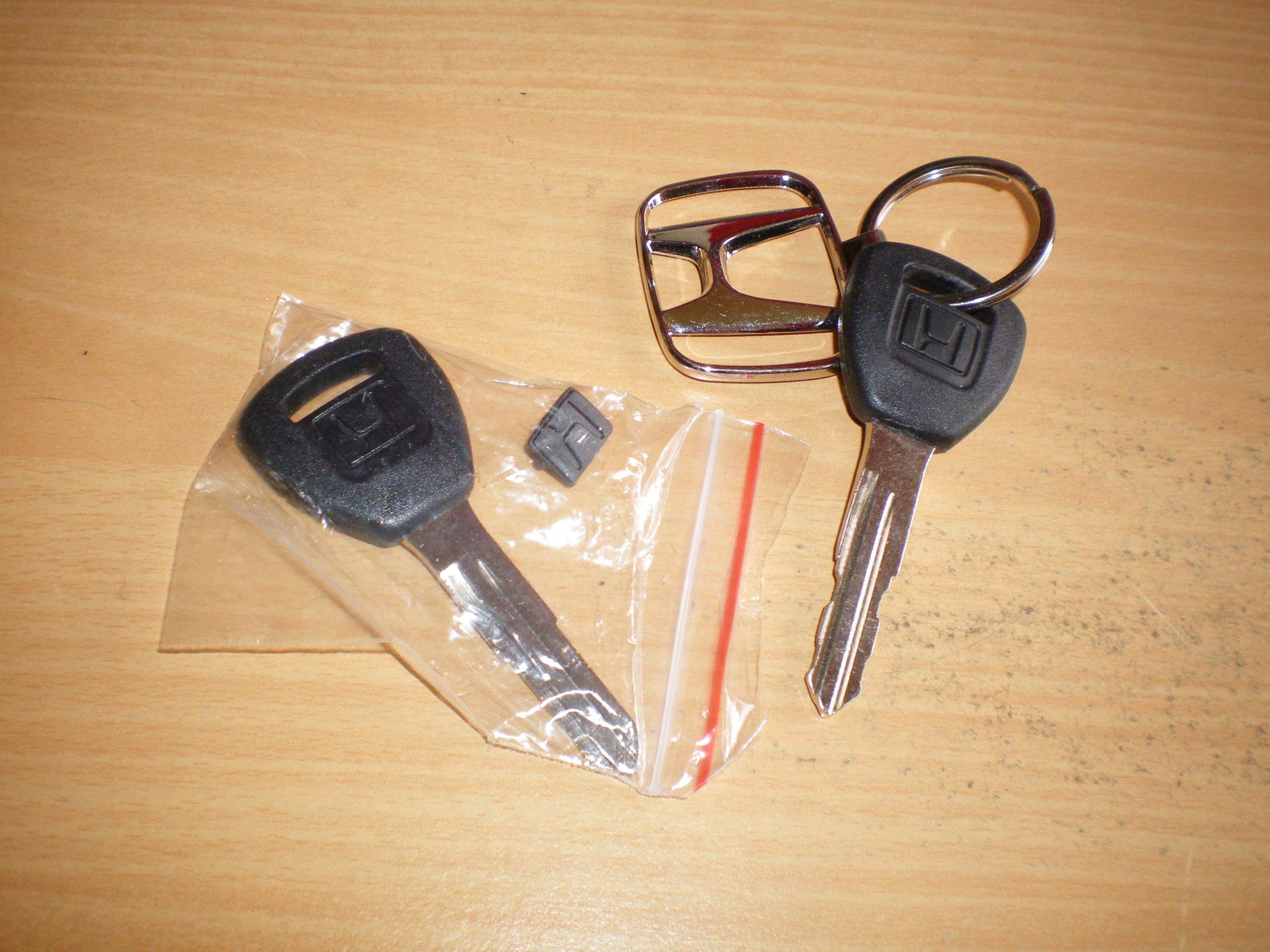 IMGP2619.JPG