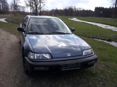 20120417_115403.jpg