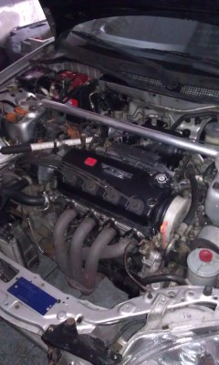 IMAG0233.jpg