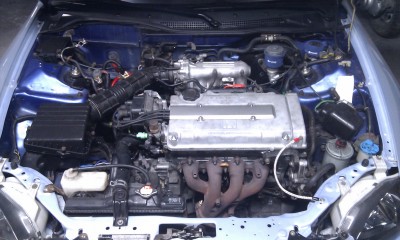 IMAG0356.jpg