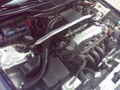 IMG_20120414_145620.jpg