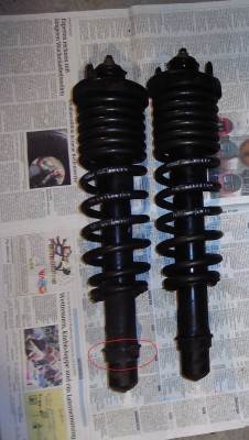 rimg0160ap.jpg