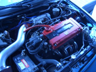 SUC52169.JPG