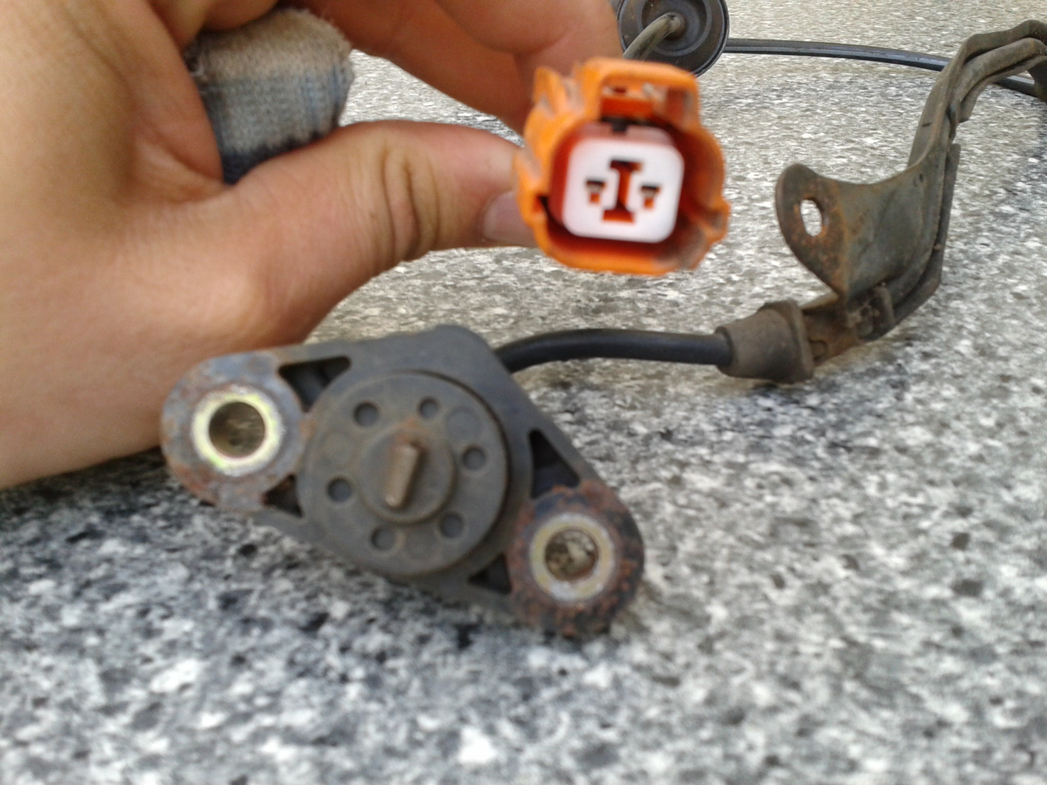 2012-05-19 18.24.36.jpg