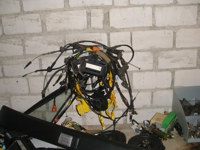 DSCI1161.JPG