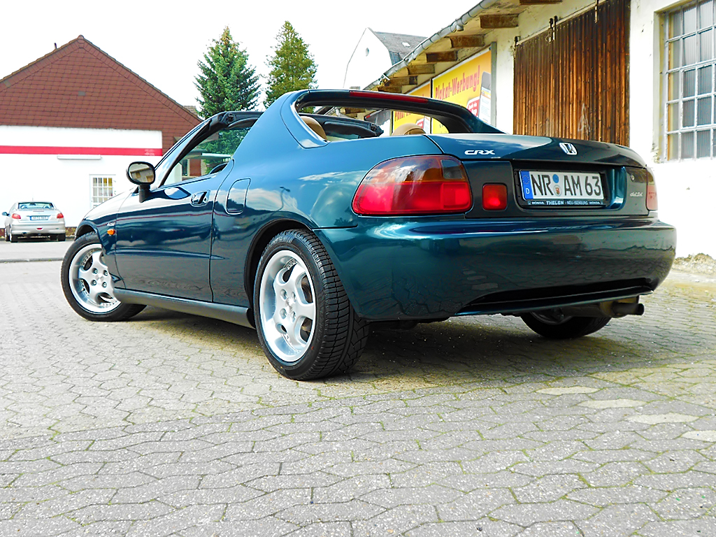 DSCN0981.jpg